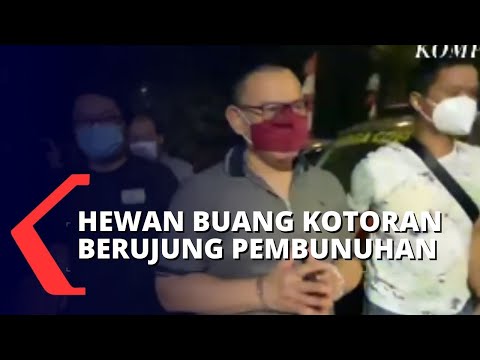 Video: Lennox Anjing Dibunuh