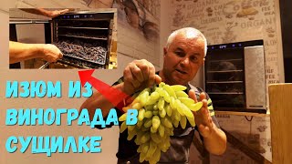 видео: Продолжаем изготавливать Изюм и некоторые нюансы. картинка: Продолжаем изготавливать Изюм и некоторые нюансы.