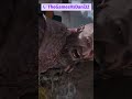 EL FIDEO #gaming #godofwar #twitch #shorts
