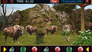 Buffalo Mountain Escape Walkthrough screenshot 5