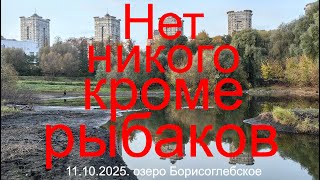 видео: Нет никого кроме рыбаков 11.10.2025. Оз. Борисоглебское. Рыбалка в Подмосковье. картинка: Нет никого кроме рыбаков 11.10.2025. Оз. Борисоглебское. Рыбалка в Подмосковье.