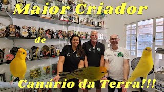 CRIADOURO MONTE ALVÃO O MAIOR DE CANÁRIO DA TERRA DO BRASIL!!!