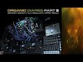 Organic Diaries - Part 3 ( Digitone 2, 2x Digitakt 2, S-4, modular fx and effect pedals )
