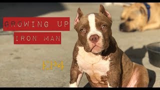 Growing Up Iron Man Ep4