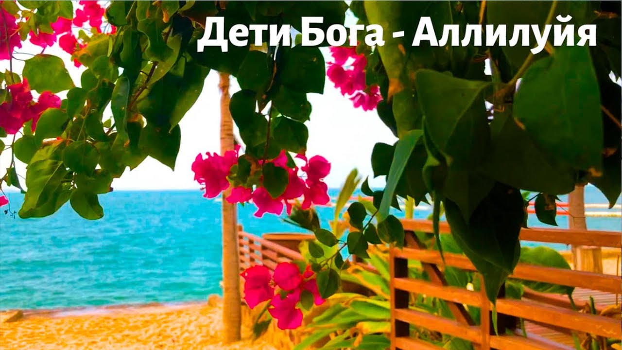 Дети Бога - Аллилуйя. Детские христианские песни.