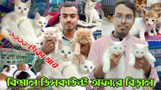 Persian Cat price in Bangladesh | Katabon Animal market in Bangladesh | ধামাকা অফারে বিড়াল  #cat