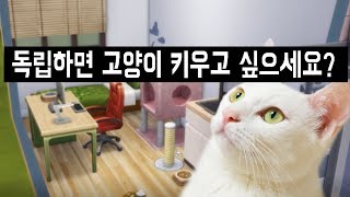 Having a Cat in a TINY APARTMENT?