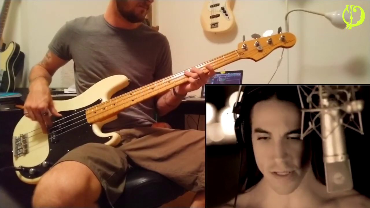 Red Hot Chili Peppers My Friends Bass Cover YouTube