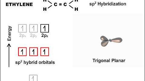 VB Theory and Hybridization (Part II)