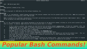 Popular Bash Commands Overview!