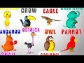 Английский язык для детей, учим животных и цвета