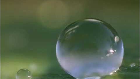 سورة النمل للقارئ شيرزاد عبدالرحمن