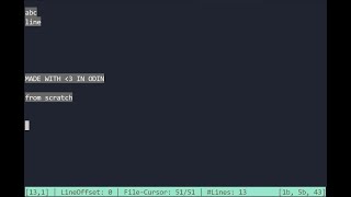 Pico - a tiny text editor (Part 2) - Screen Space Transforms