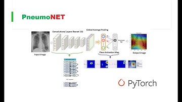 Tutorial Overview: Building an AI COVID-19 Product Using Transfer Learning in Pytorch