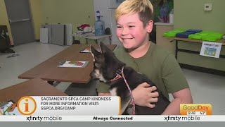 Camp Kindness