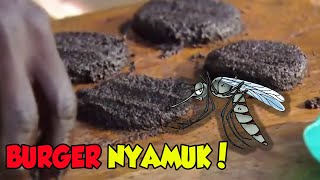 More Nutritious Than Beef! This is a Super Delicious African Mosquito Burger Processed