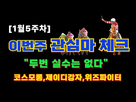 말발굽경마🟢월말경마집중 🔷두번실수는없다 이번주 관심마 🐎서울경마 정기용경마 🐴말발굽경마🔴