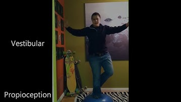 KNES 370 Sensorimotor Integration video