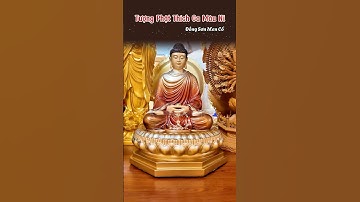 🙏 Tượng Phật Thích Ca Mâu Ni Bằng Đồng Sơn Men Cổ 🙏 #phápduyênshop #nammobonsuthichcamauniphat