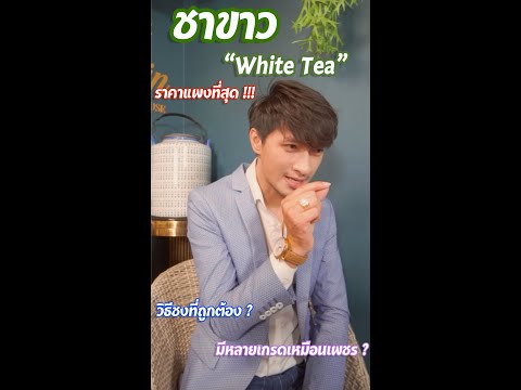 ชาขาว (White Tea) คือ ชาอะไร มาทำความรู้จักกันครับ