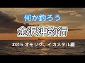 何か釣ろう　金沢沖釣行　#015 オモリグ、イカメタル編