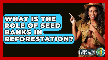 What Is The Role Of Seed Banks In Reforestation? - Ecosystem Essentials