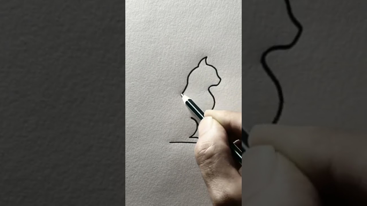 Drawing Cat from one line art 