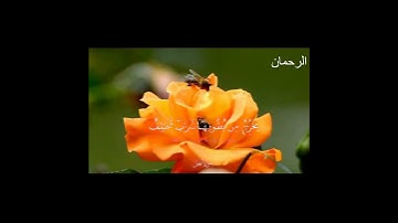 ياسر الدوسري من سورة النحل