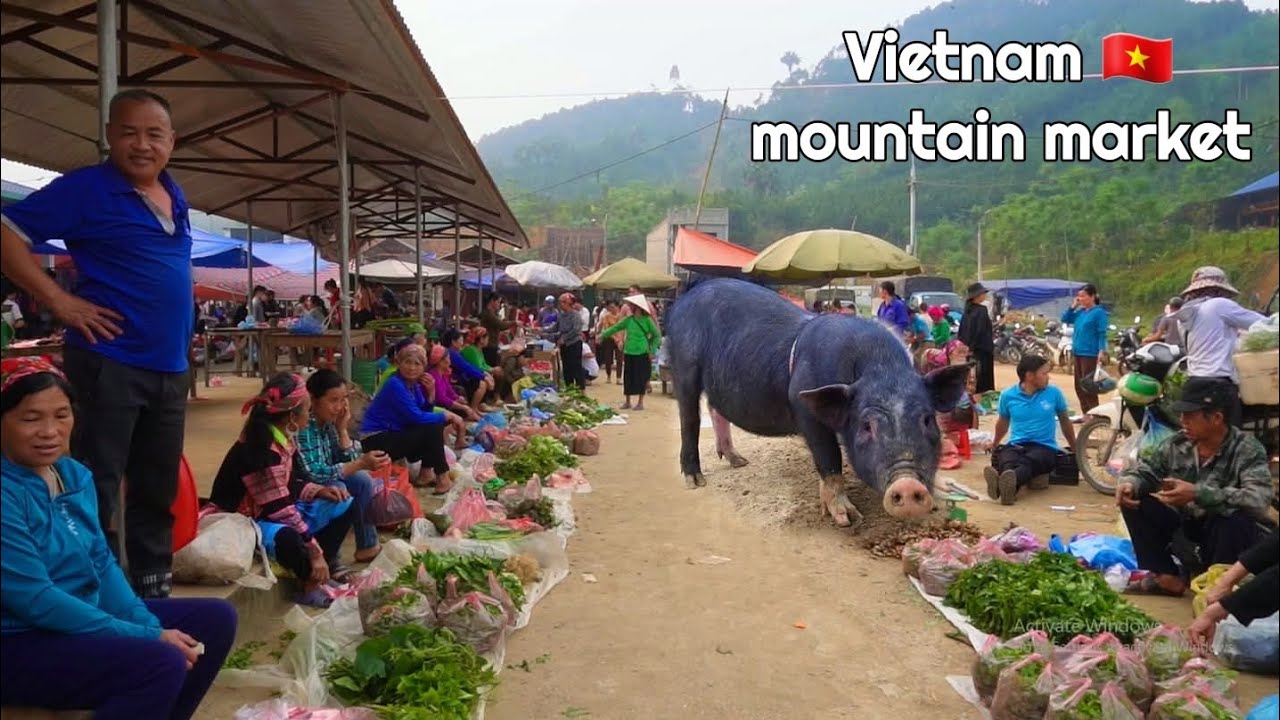 Chợ Vĩnh Yên Bảo Yên – Phiên chợ vùng cao đầy sắc màu | Ethnic Market in Lao Cai