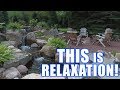 Pond Design Made Easy: Waterfall Tips