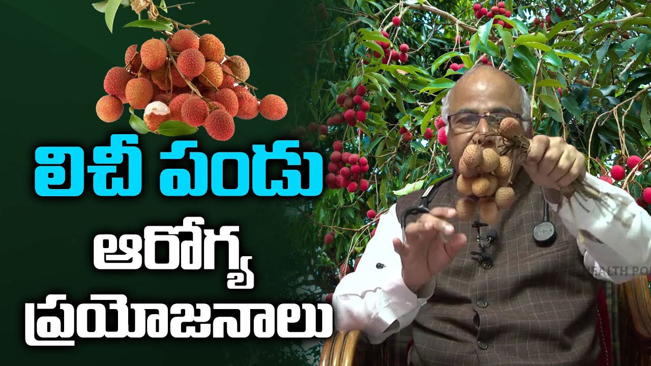 Litchi Fruit Health Benefits Dr CL Venkat Rao Health Popular TV