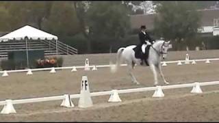 Kim Elsner & Luminence Intermediaire Freestyle Dressage Burbank CDI.avi