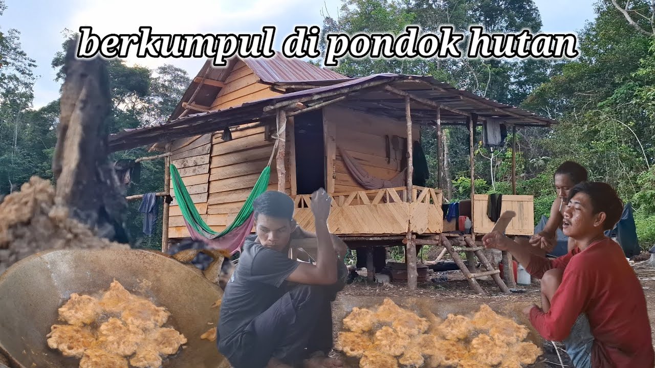 Berkumpul di pondok hutan menikmati suasana hutan 
