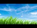 meditation sleep story for children to go to bed