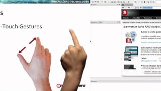 Touch Management with Object Pascal on all Platforms