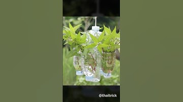 Hanging planter with plastic bottles