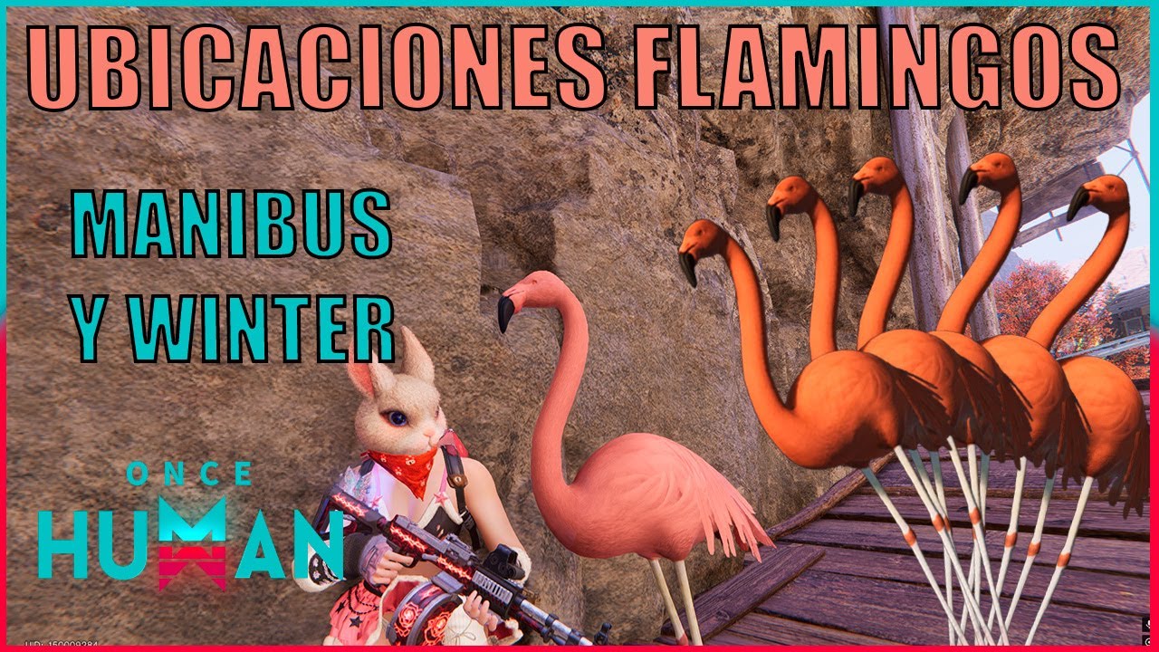 Расположение фламенко зимой и манибус | ONCE HUMAN