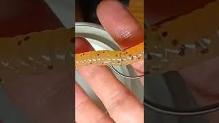Color Changing Worm bait in action #fishing #shorts 😲