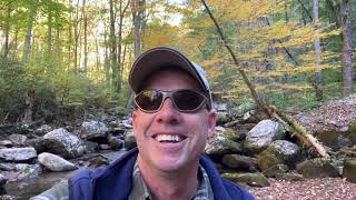 Cascades Hike: BLUE RIDGE MOUNTAINS by Randy Doman Outdoors 88 views 2 years ago 4 minutes, 45 seconds