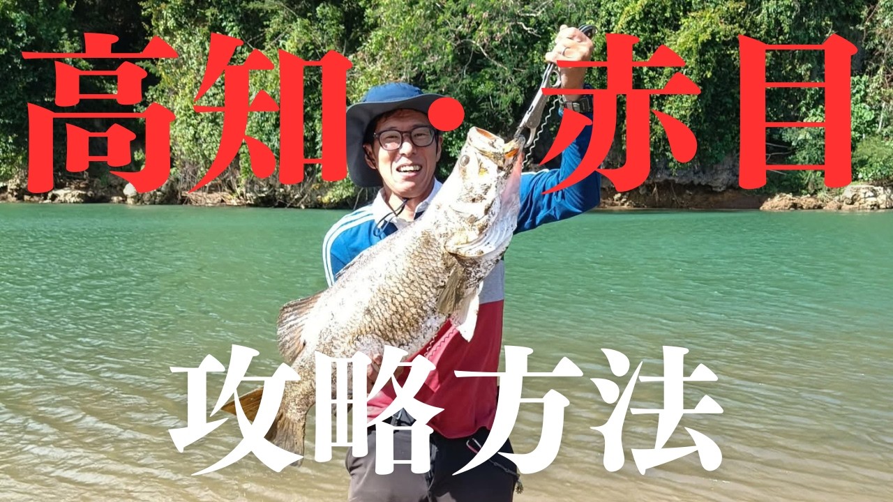 高知でアカメを狙う方へ　デイでもナイトでもこの釣り方を覚えて試してみてください