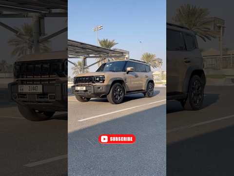       2  جيتور 2 تتألق في جزيرة ياس 2 جيتور2