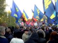 День покрови 2011, прапор.