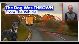 Thief Steals RANGE ROVER With Owners DOG Inside Before Crashing!
