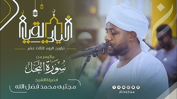 سورة النحل كاملة | ليلة رمضانية مميزة بمسجد الميناء البري | القارئ : مجتبى محمد فضل الله