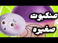 عنكبوت صغيره فيديو كليب كارتون كناري