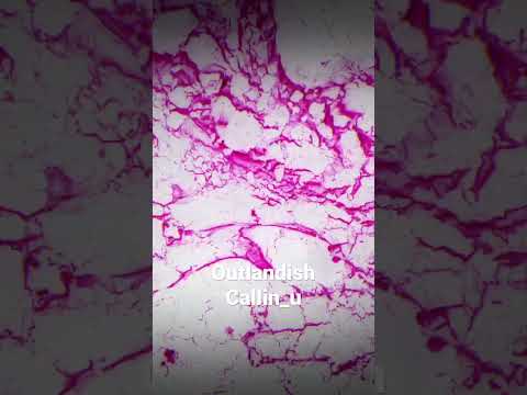 Outlandish Callin U Music музыка музыкавмашину музыкадлядуши 