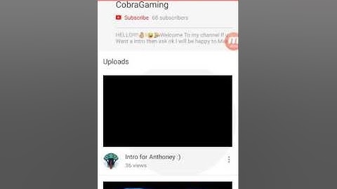 Cobra gaming stolen  a intro omg