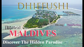 4K | DISCOVER THE HIDDEN PARADISE, DHIFFUSHI ISLAND | Diving &amp; Snorkelling | Maldives 2023