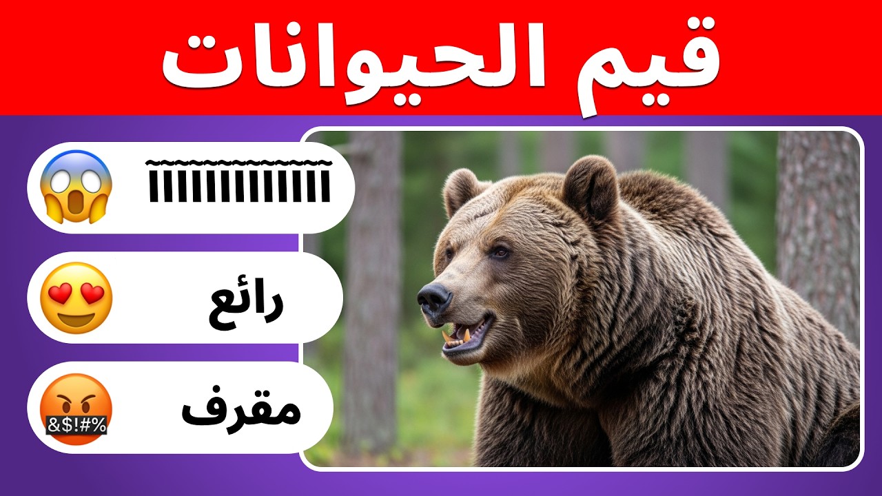 قيّم الحيوانات | 50 مستوى 🐾