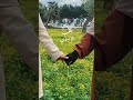 إلى صديقي